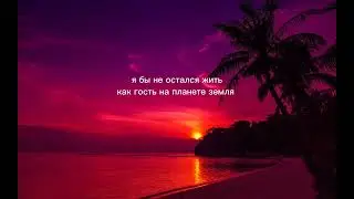 перевод нашида Toweel al shawq