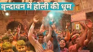 Vrindavan Holi की धूम | Vrindavan Holi 2024 | Braj Ki Holi | Vrindavan Vlog