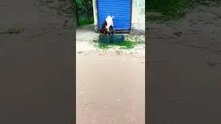 short video 0 views problem 💥short video 0 views fixed #youtubeshort #shorts