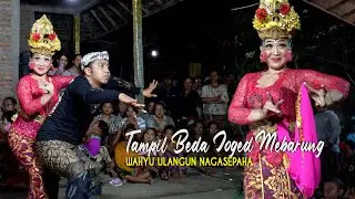 JOGED MEBARUNG NAGASEPAHA