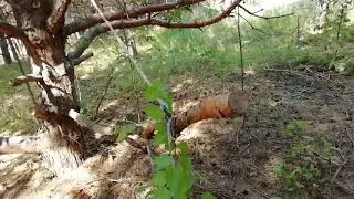 2022 Божеская помощь
