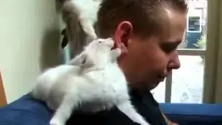 You're such cool / Ты такой клёвый