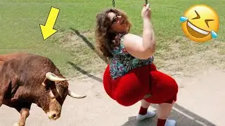 Funny Videos Compilation 🤣 Pranks - Amazing Stunts-bt Mr Vava#31