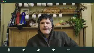 Sheep Farmer tries working from home .