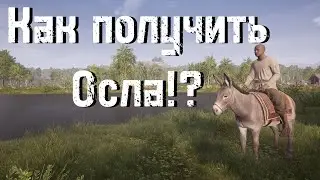 Как получить осла в Medieval Dynasty