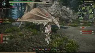 Monster Hunter Online - My new gunlance=)
