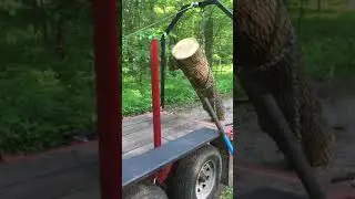 Loading Ash Log Onto Custom Built Log Trailer With Log Arch