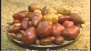 Pratik Patates Soyma Eldiveni Tater Mitts