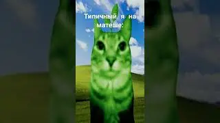 пов:#мем#жиза#врекомендации