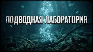 Подводный мир Перекрёстка.  Часть первая. Новая форма жизни или лаборатория по созданию всего.