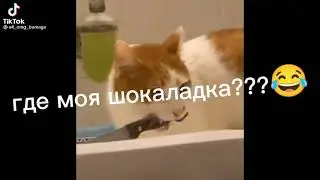 оправь