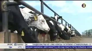 Золотая Осень 2019