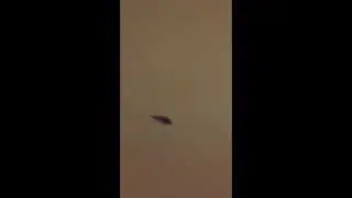 Testing the robo fish