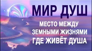 МИР ДУШ. Место между земными жизнями, где живёт Душа.
