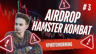 КриптоMORNING. СКОЛЬКО ТОКЕНОВ HAMSTER KOMBAT ПОЛУЧИЛИ? НОВЫЙ AIRDROP LAYER ZERO