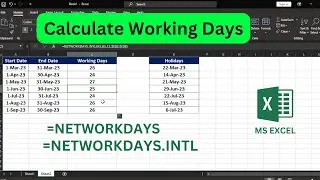 How to Calculate Working Days in Excel | Workday function in Excel |