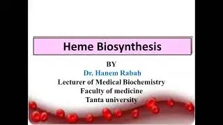 Hemoglobin part 1(biochemistry)