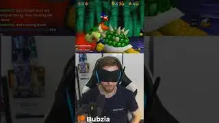 INSANE Bowser Speedrun Backup #sm64 #speedrun