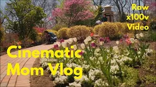 What made me feel better 🌷 Cinematic vlog 📷 Life of a mom & wife on Fujifilm x100v 브이로그