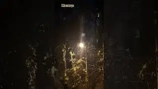 Первый снег в Мытищах