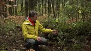 Meža veča emuāri S3E5