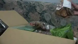 Распаковка багажа. Часть 2. Возвращение из Таиланда. Что мы привезли? Тайские штучки.