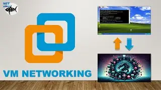 Network Setup in VM Lab Ready for Cyber Security & CEH