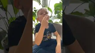 пробуем очень странный фрукт «лонган»