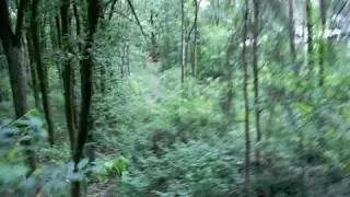 Strausberg Kletterwald Seilrutsche Matthias 5