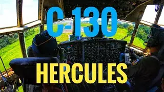 Joy Flight C-130 TNI-AU in 4K