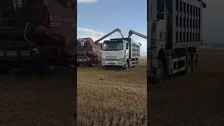 перерыв в уборочной. китайский самосвал - зерновоз. 