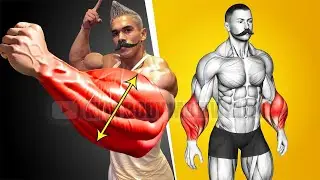 6 Best Exercises to Grow Massive Forearms