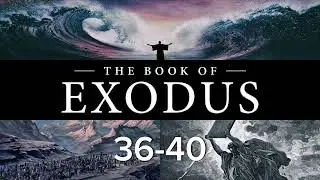 Exodus 36-40