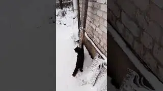 Доброе утро