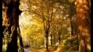 Richard Clayderman - Love Story(www.disecret.biz/microlab/).wmv