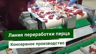 Подготовка перца к обработке: очистка, мойка, нарезка перца. Заморозка, сушка, консервирование перца