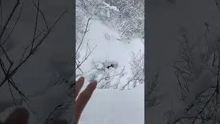 Покажу сложный фрирайд маршрут на Красной Поляне.