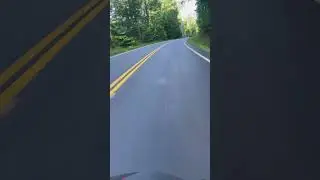 Riding my cbr1000 through the mountains #love #fun #beautiful #live #motorcycle #shorts #subscribe