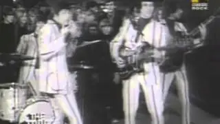 The Troggs   Wild Thing   1966