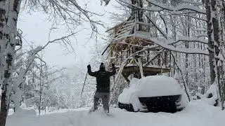 Скамейка из живой берёзы!
