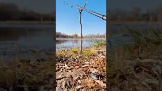 Рыбаки люди интересные 🤣
