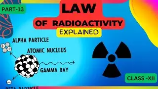 explained " law of radioactivity " |  class 12 physics Nuclei