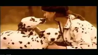 DJ BoBo  Love is all around