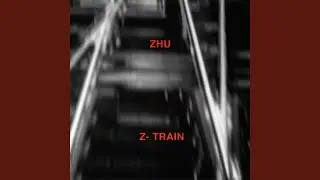 Z-Train