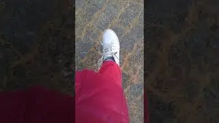 24 октября 2019 г.
