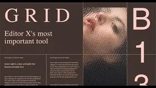 Grid - Editor X's Most Important Tool | Editor X