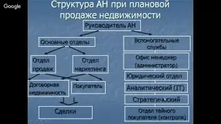 структура агентства недвижимости