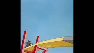 Tom and Jerry ❤️