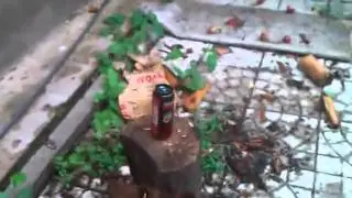 Правильно употребление Ягуара