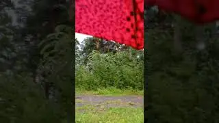 всё льёт и льёт 🌧️